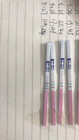 journal_insert_pic_1020951734
