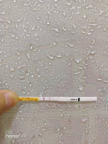 journal_insert_pic_1021253364