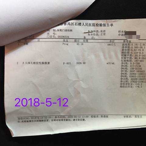 journal_insert_pic_1021818145