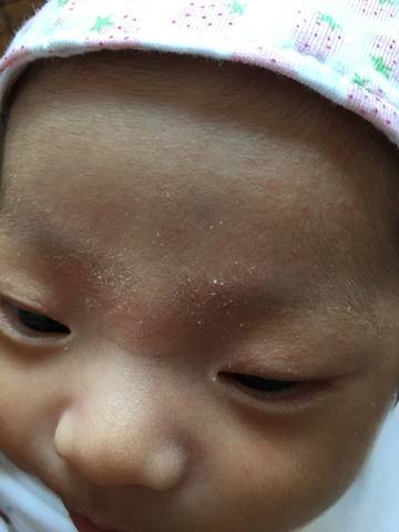 journal_insert_pic_1021814085