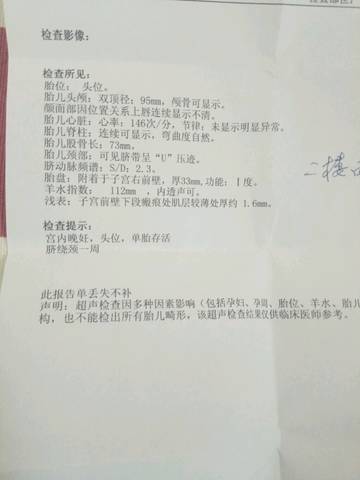 journal_insert_pic_1022616061