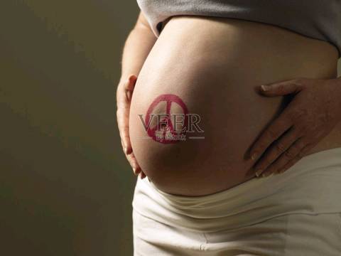 journal_insert_pic_1022972649