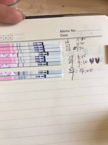 journal_insert_pic_1022589941