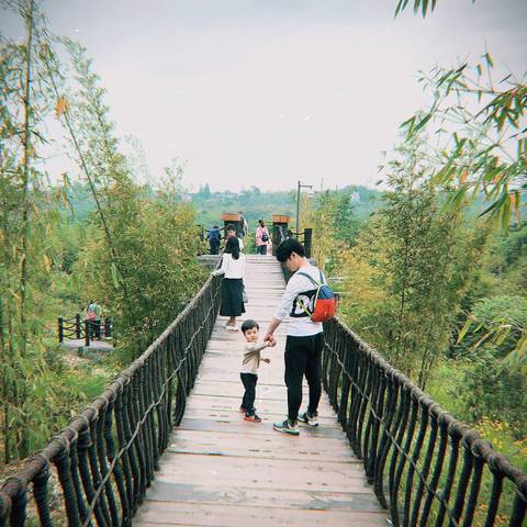 journal_insert_pic_1023417236