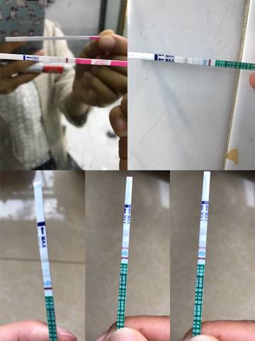 journal_insert_pic_1023208902