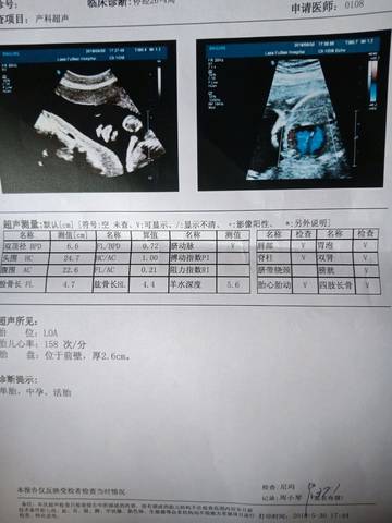 journal_insert_pic_1023465556