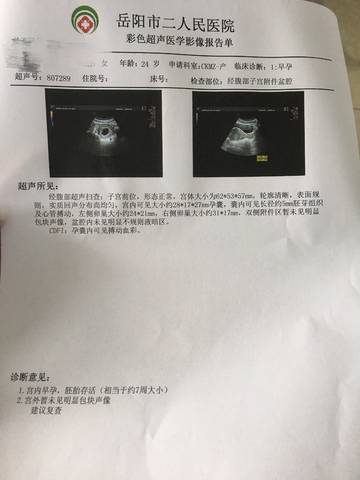 journal_insert_pic_1023191026