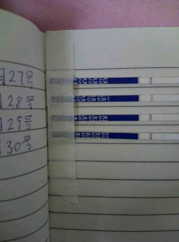 journal_insert_pic_1023100590