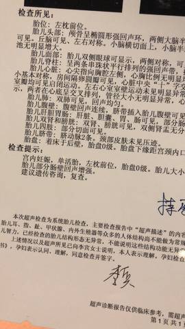 journal_insert_pic_1024089402
