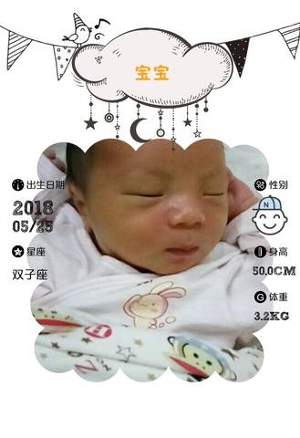 journal_insert_pic_1023921720