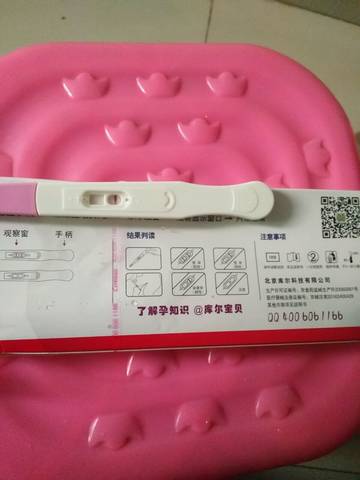 journal_insert_pic_1024133444
