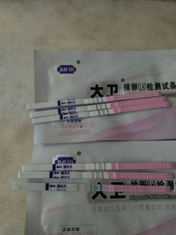 journal_insert_pic_1024419164