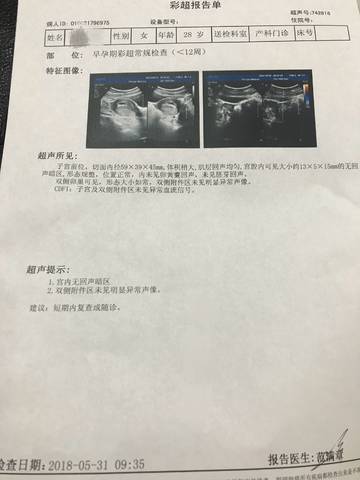 journal_insert_pic_1023905584