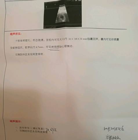 journal_insert_pic_1024680530