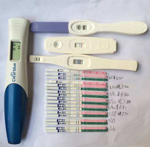 journal_insert_pic_1024525263