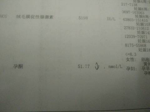 journal_insert_pic_1025660164