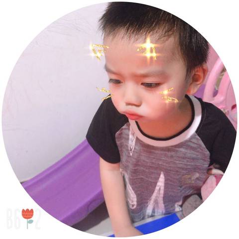 journal_insert_pic_1025917392