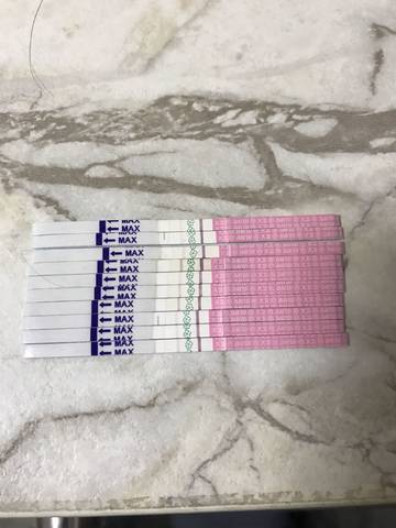 journal_insert_pic_1026540779