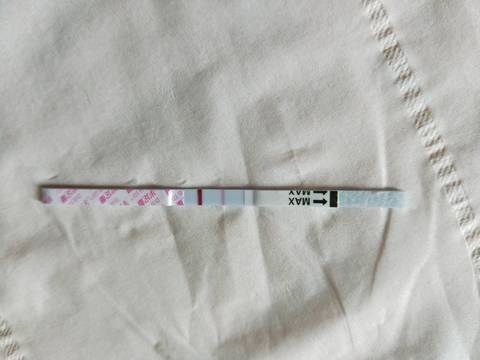 journal_insert_pic_1027304276