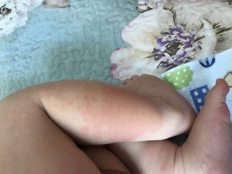 journal_insert_pic_1027245016