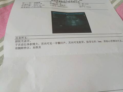 journal_insert_pic_1027230027