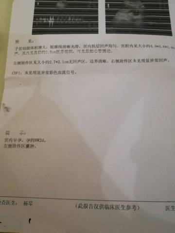 journal_insert_pic_1027110227