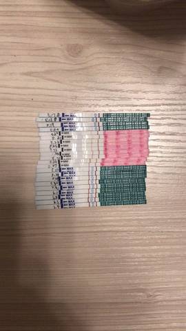 journal_insert_pic_1027550679