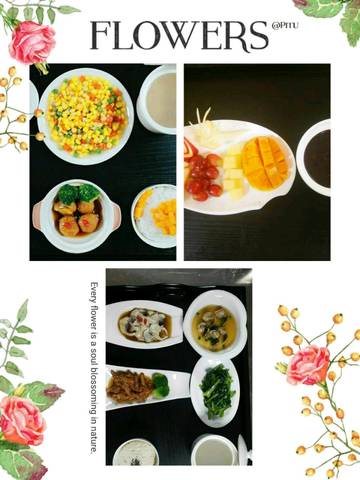 journal_insert_pic_1028117761