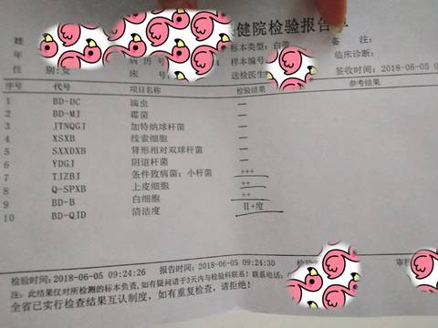 journal_insert_pic_1028182670