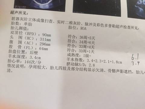journal_insert_pic_1028973689