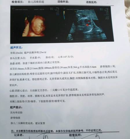 journal_insert_pic_1029709593