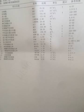 journal_insert_pic_1029435036