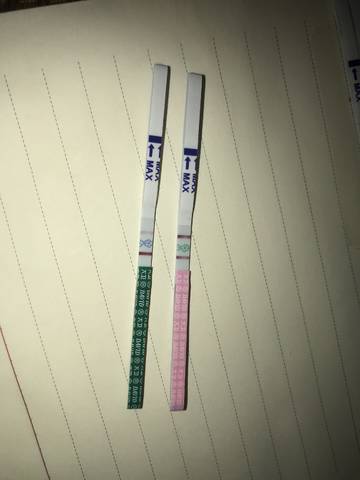journal_insert_pic_1029842803