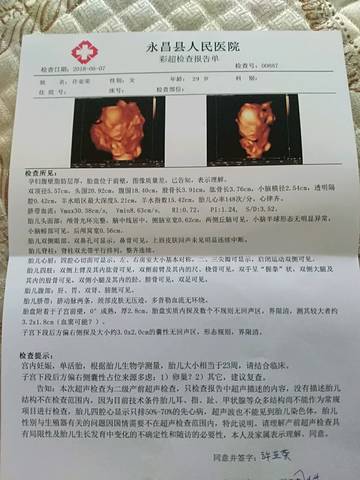 journal_insert_pic_1029712492