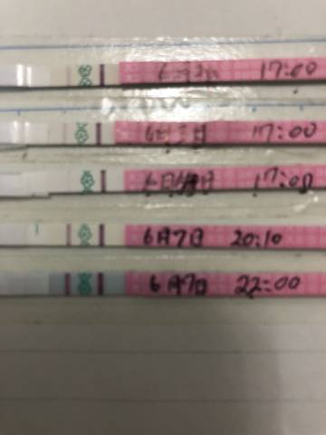 journal_insert_pic_1029855063