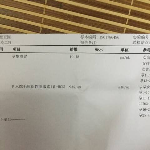 journal_insert_pic_1029830068