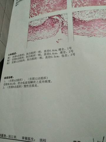journal_insert_pic_1030251433
