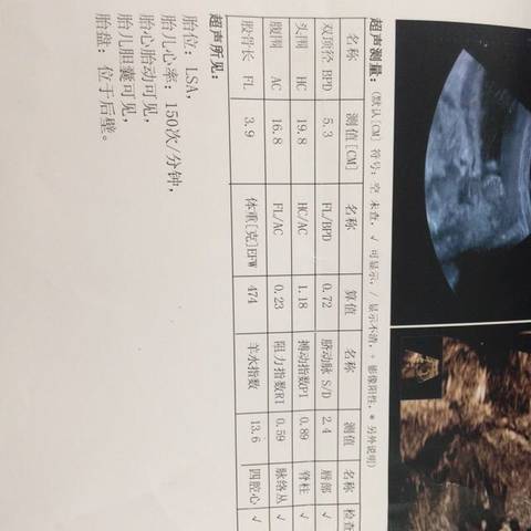 journal_insert_pic_1030127207