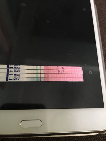 journal_insert_pic_1030759656