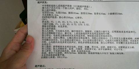 journal_insert_pic_1031838063