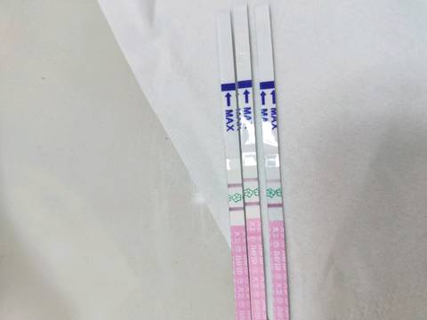 journal_insert_pic_1032104822