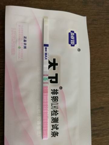 journal_insert_pic_1031558281