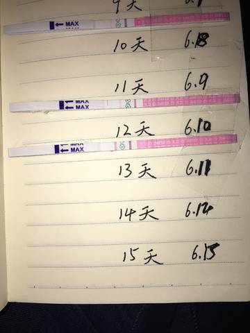 journal_insert_pic_1032770204