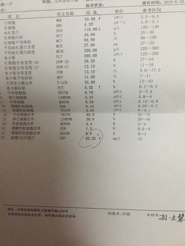 journal_insert_pic_1032377169