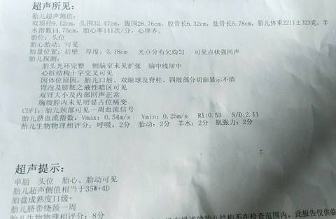 journal_insert_pic_1033501728