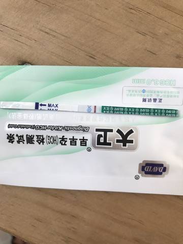 journal_insert_pic_1032923332