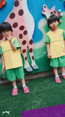 journal_insert_pic_1033112318