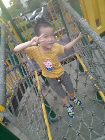 journal_insert_pic_1034264456