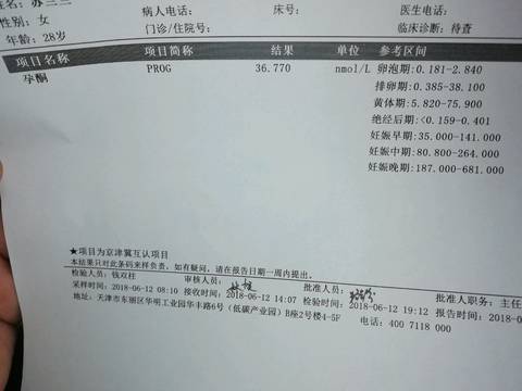 journal_insert_pic_1033979187
