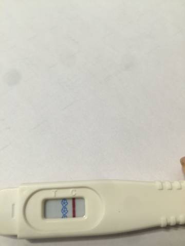 journal_insert_pic_1033670726